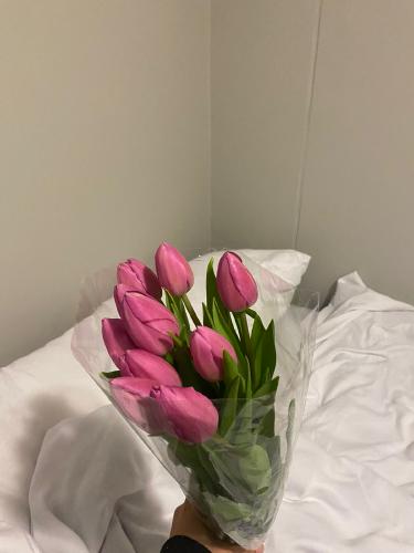 Jesse Rose 's gallery image 8