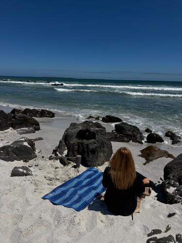 Jesse Rose 's gallery image 5