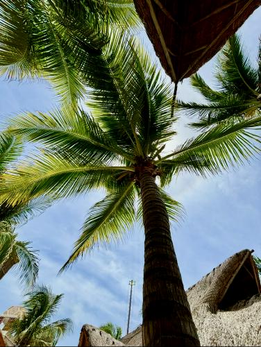 Brian's gallery image 7