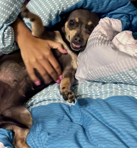 Brian's gallery image 4