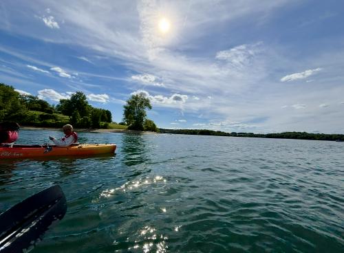 Brian's gallery image 2