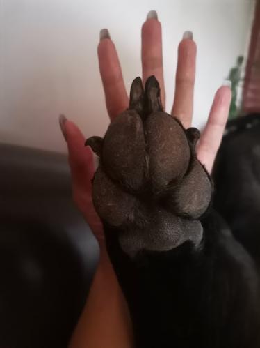 Carmen's gallery image 5