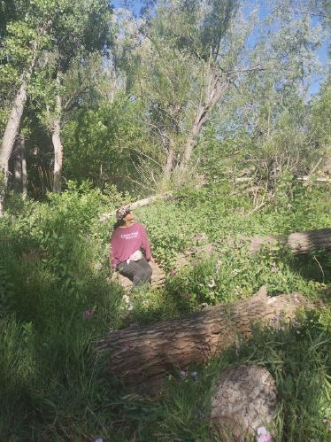 Carmen's gallery image 3