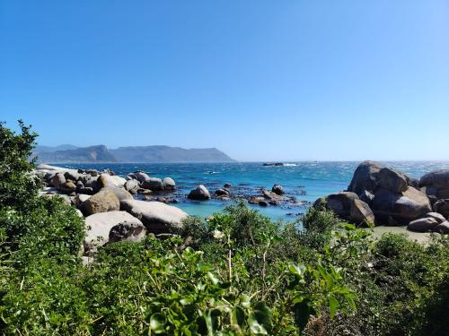 Sameer's gallery image 9